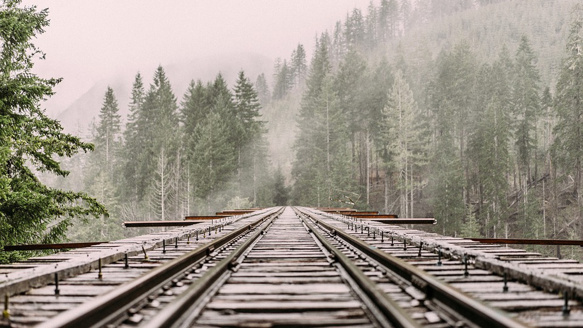 Ukrainians formalize 80,000 tickets in first month of UZ 3,000 km program – Dpty PM