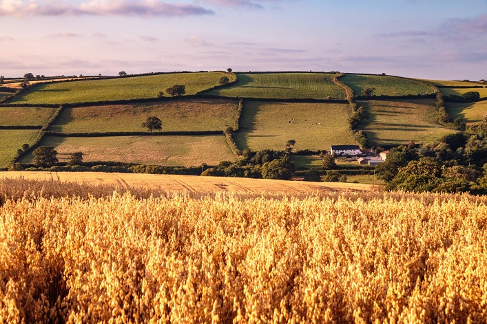 Asset valued at over $100M: Kernel acquires an agricultural holding with 41,000 hectares of land and grain elevators.