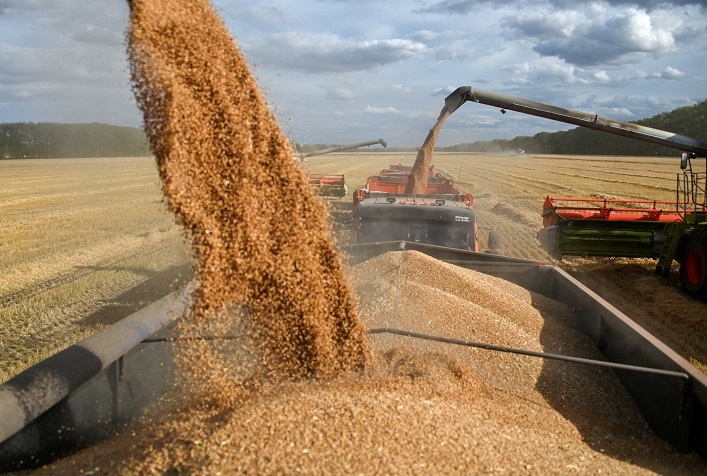 One African country bought nearly 50% of Ukraine’s wheat in December, but the market faces pressure due to slow exports.