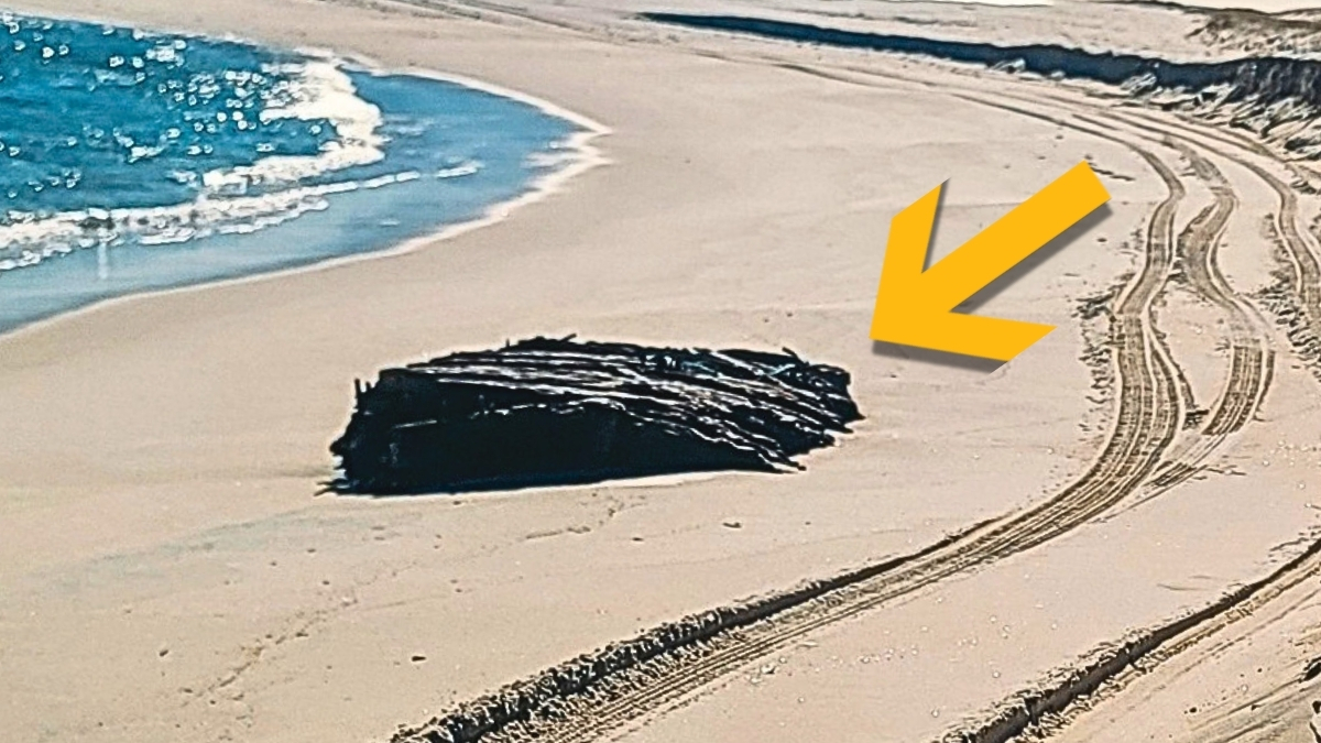 Fierce Storms Expose 19th-Century Maritime Mystery on Jersey Shore : ScienceAlert