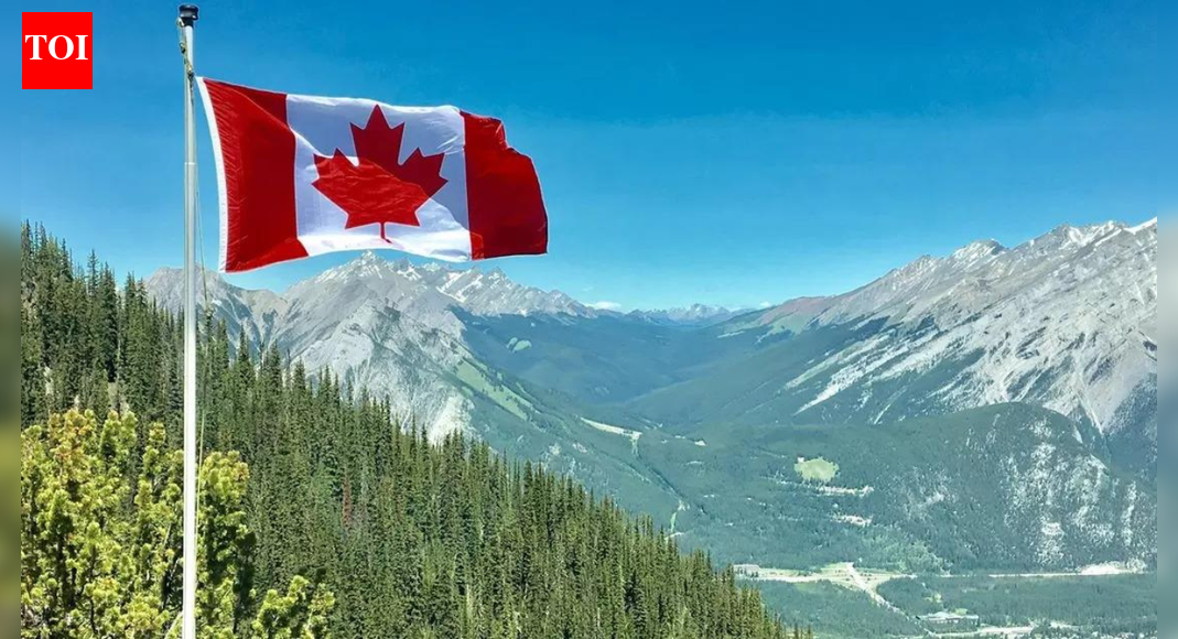‘Avoid all travel’: Canada issues level-4 advisory, lists countries Canadians should not visit