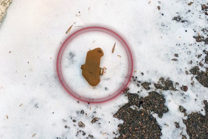 Russian forces remotely scatter mines on Kherson hospital grounds, police say (VIDEO)