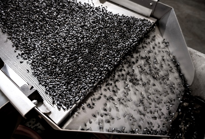 Experts forecast a decline in the production of Ukraine’s key oilseed crop.