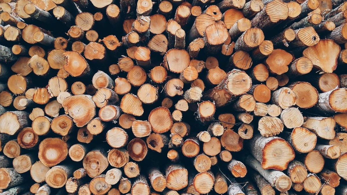 Forests of Ukraine accumulates over 220,000 cubic meters of firewood for heating