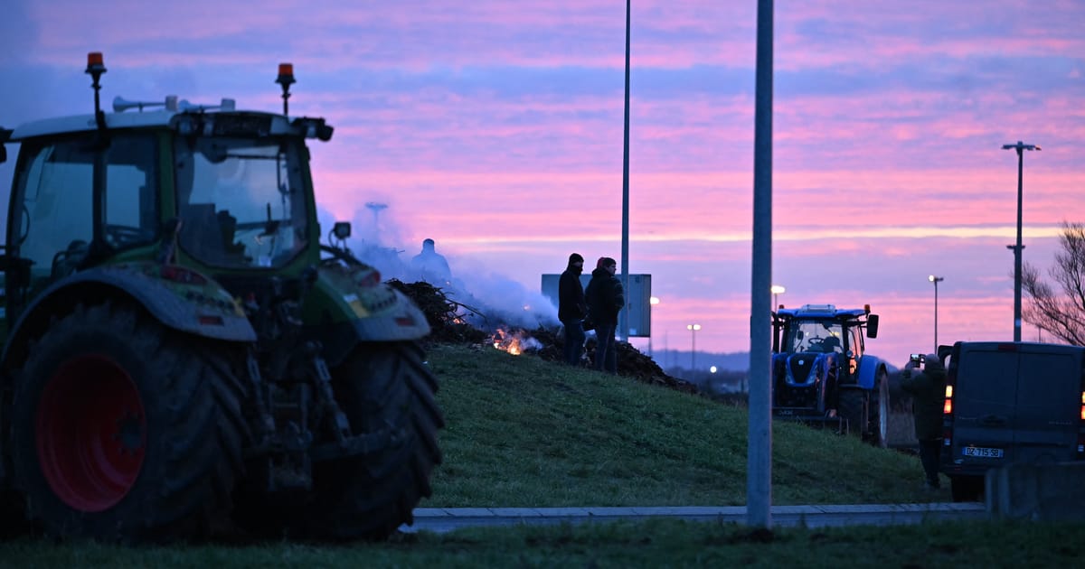 Europe’s farmers lost the Mercosur battle. They’re still ahead. – POLITICO