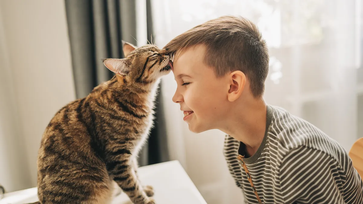 Why do cats lick you? An expert explains.