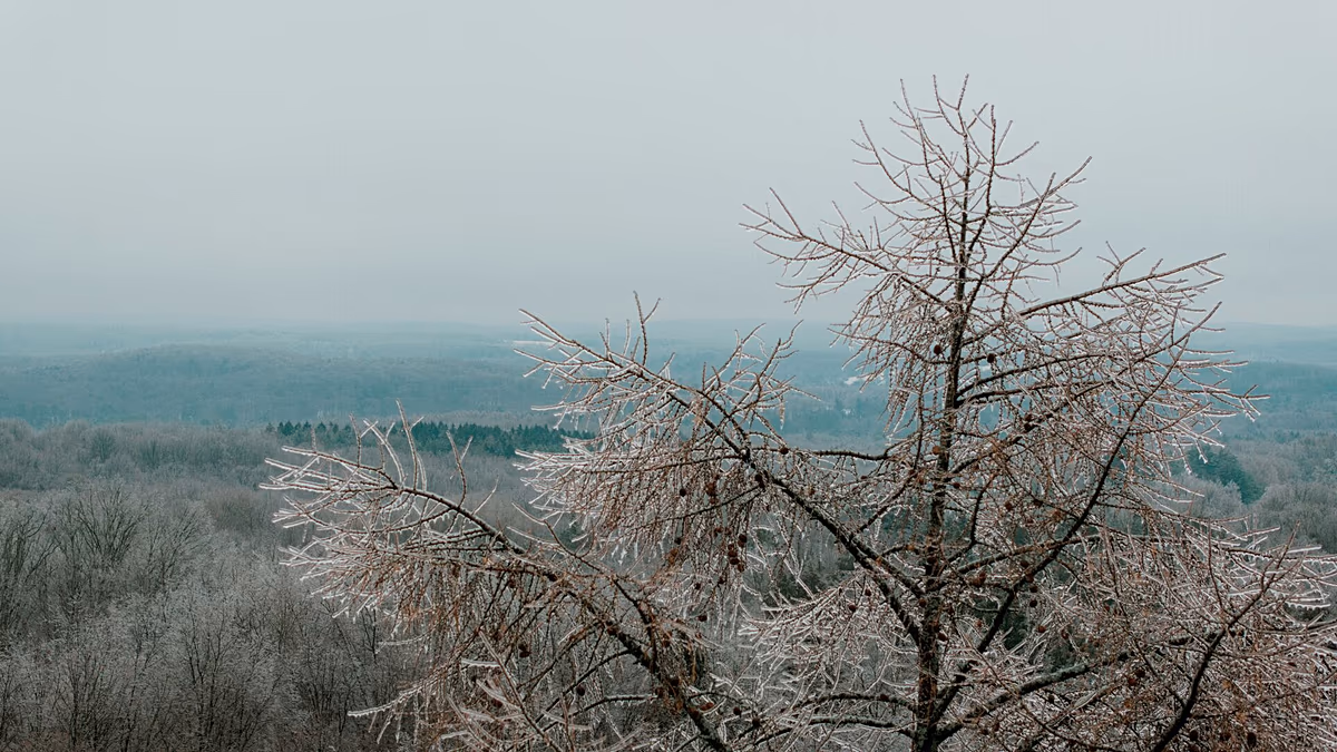 Cold Europe, burning south: January shows climate extremes at both ends of the planet
