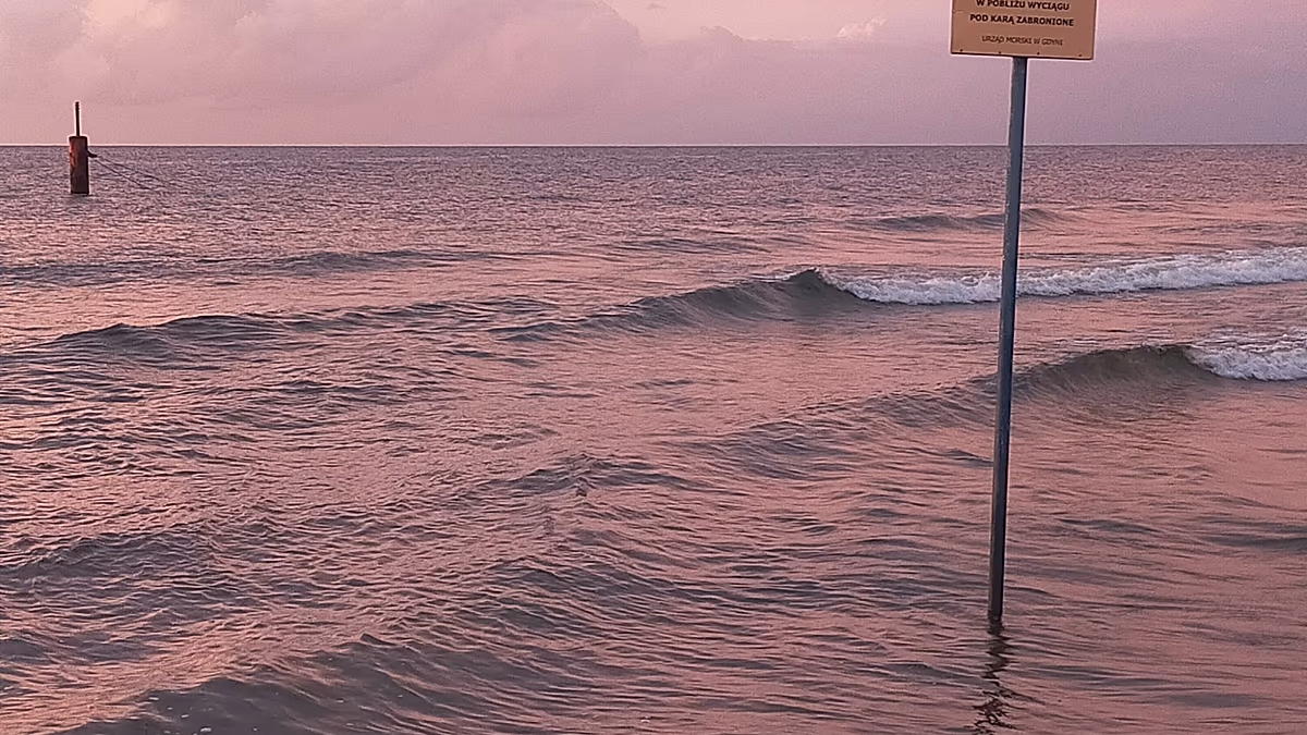 Experts warn of rapid loss of water in the Baltic Sea: ‘A vibrant reef is turning into an underwater wasteland’