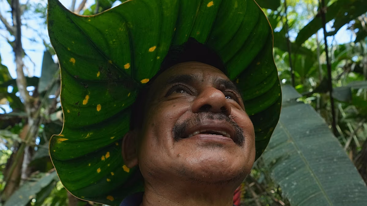 ‘Nobody gives us any incentive’: A family’s solitary fight to save endangered plants in the Amazon