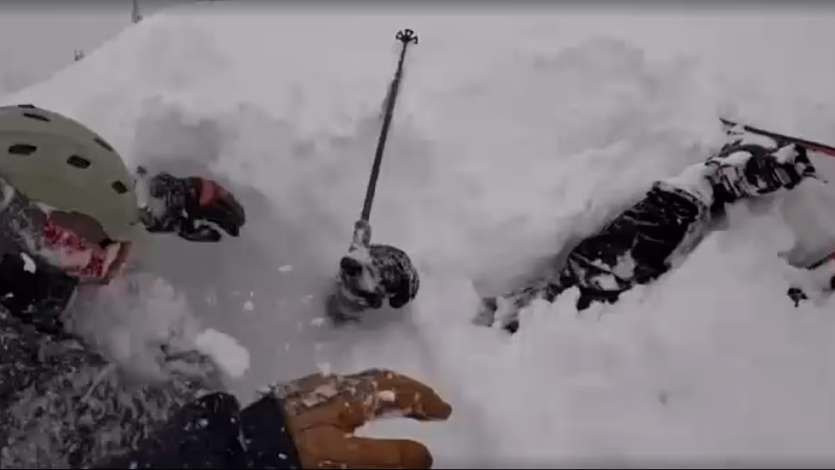 Video. Dramatic rescue: Skier pulled alive from deep snow in California