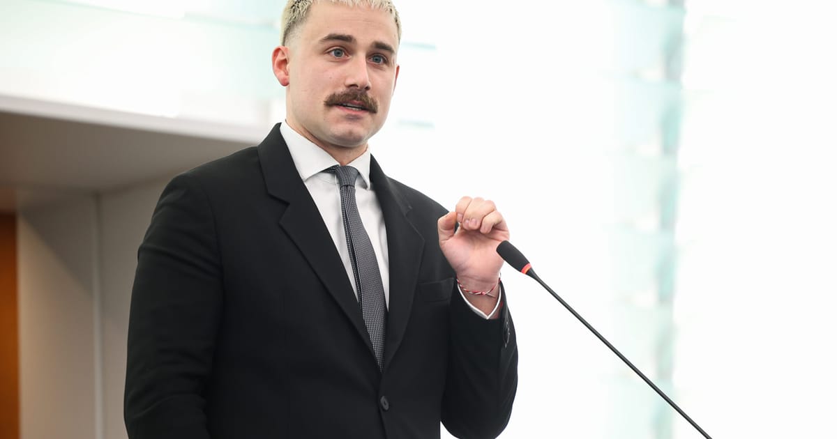 German MEP joins liberal group, kicking off a year of EU Parliament horse-trading – POLITICO