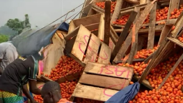 Ghanaian tomato traders caught in terrorist attack in Burkina Faso