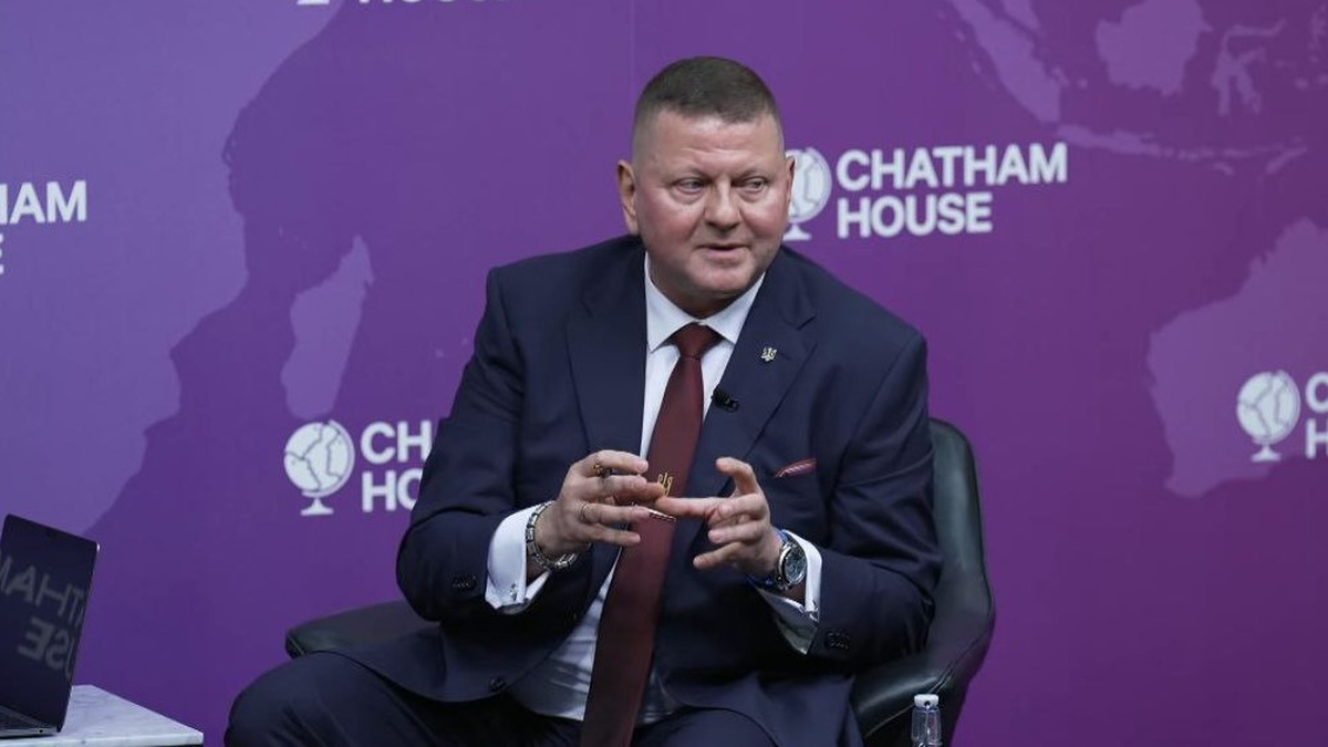 No country has military power to stop war – Zaluzhny