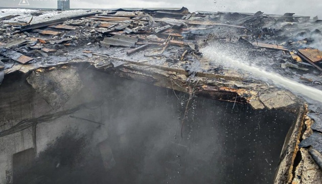 Russian attack on farm in Kharkiv region leaves 100 pigs killed