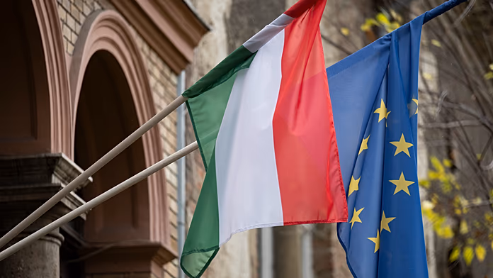 Parliamentary election campaings begin in Hungary