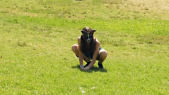 Therian trend: Masked youth identifying as animals gather in Buenos Aires