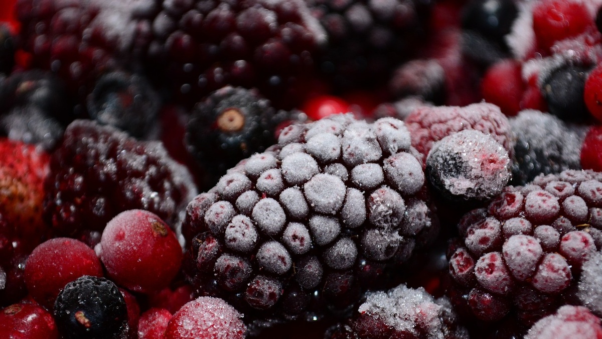 Frozen berry exporter West Berry launches new processing facility in Lviv region