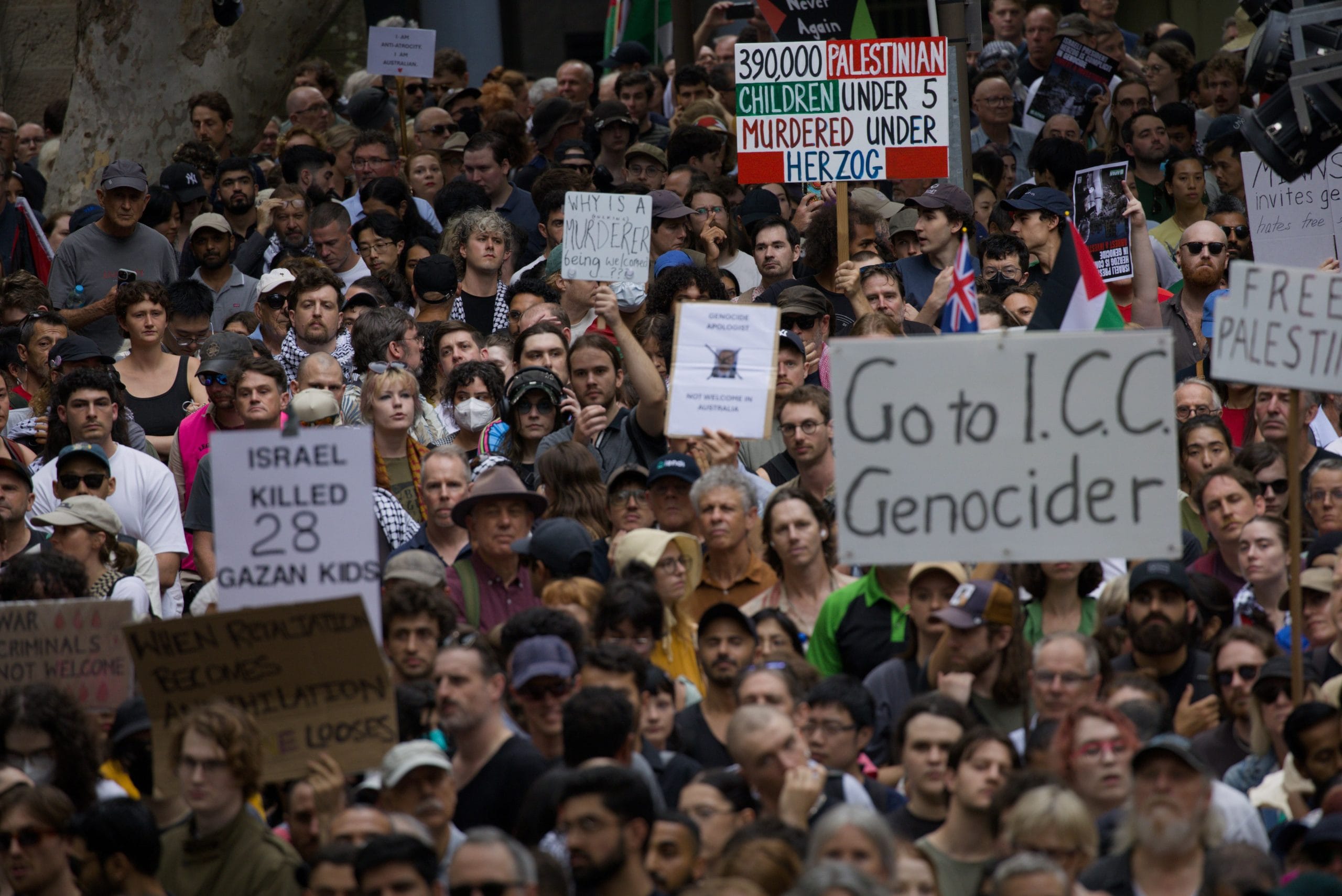 Amnesty International Australia calls for independent investigation of police violence towards peaceful protestors