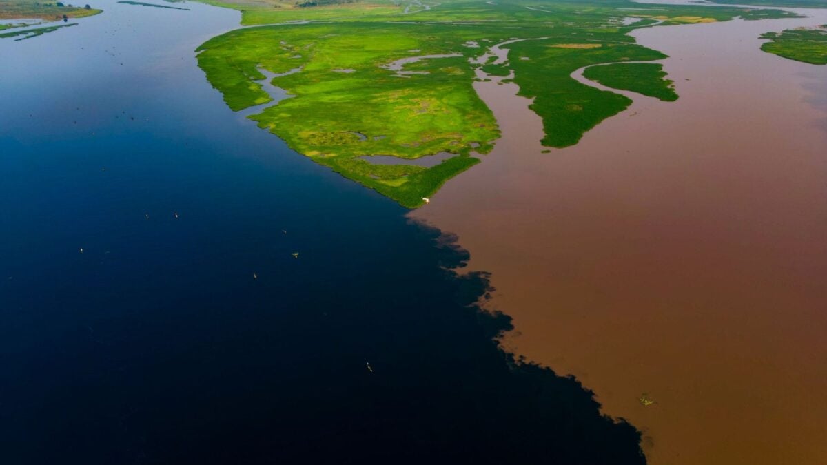 Earth’s Largest Land-Based Carbon Sink Has Sprung a Disturbing Leak