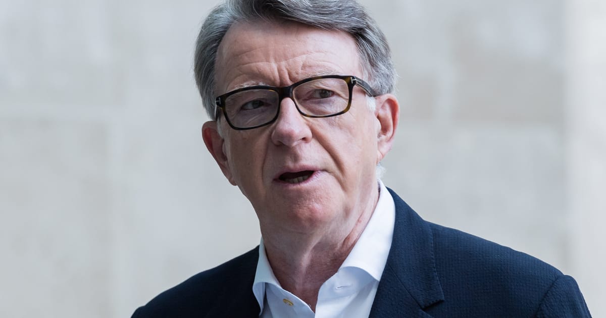 Mandelson appeared to leak UK government plans to Epstein – POLITICO