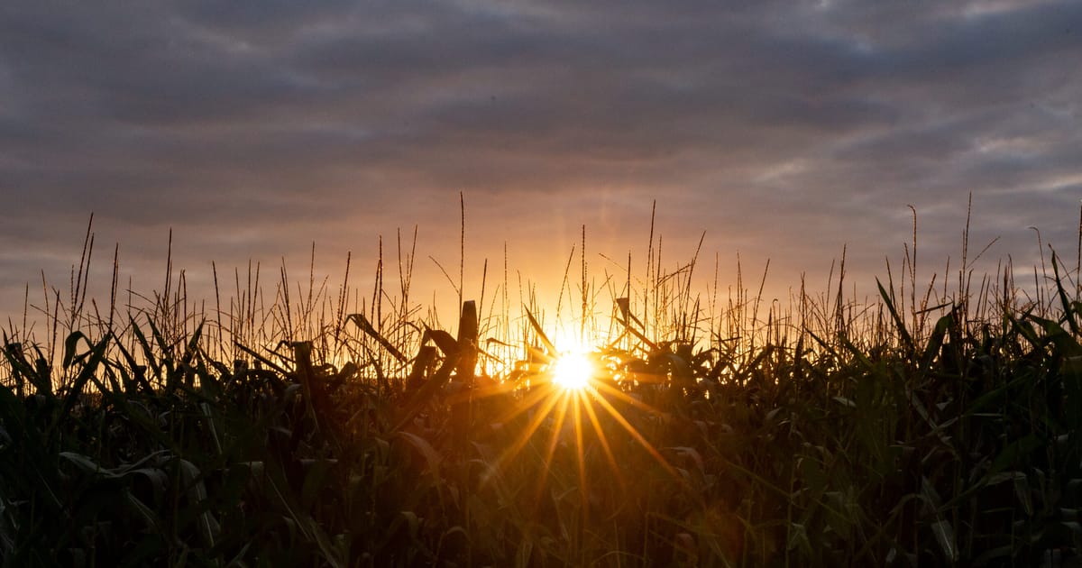 L’UE doit commencer à s’adapter aux conséquences du réchauffement climatique, avertit son conseil scientifique – POLITICO