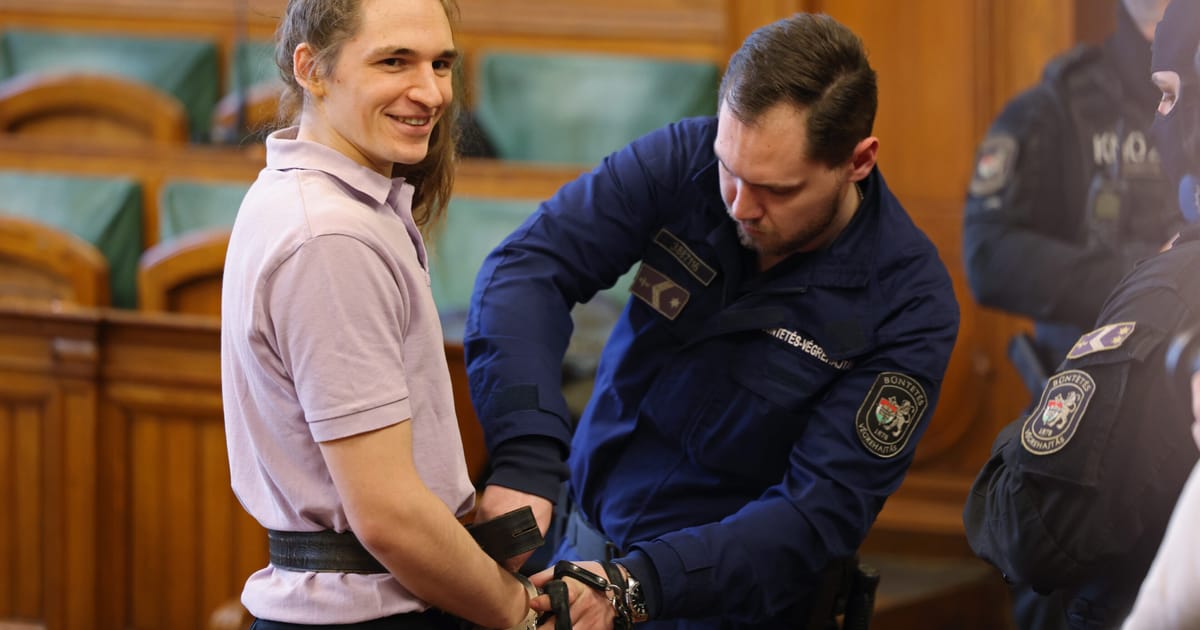 Hungarian court sentences German to 8 years in assault on neo-Nazis – POLITICO