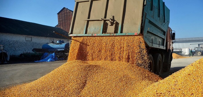 Experts identify the most profitable Ukrainian agricultural export categories in 2025.
