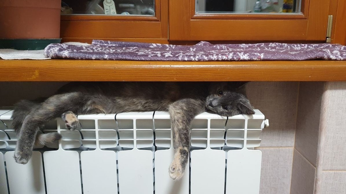 Heating restored in 400 of Kyiv’s more than 2,000 homes following attack – Klitschko