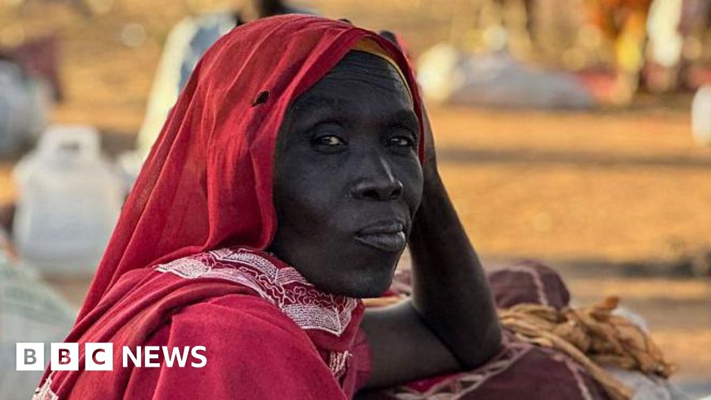 Sudan war: UN sanctions RSF leaders over el‑Fasher atrocities – BBC