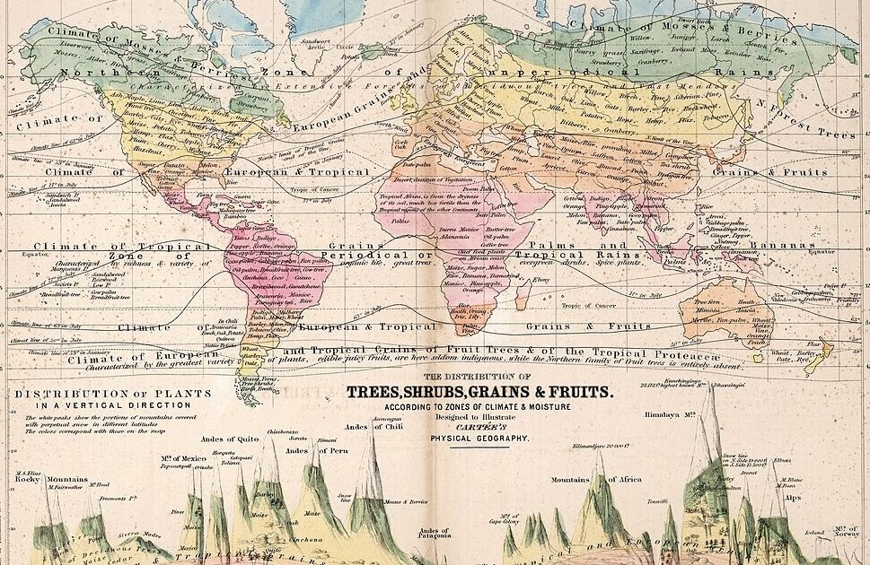 Avoiding Oblivion… and Rehabilitating Humanity — Russia in Global Affairs