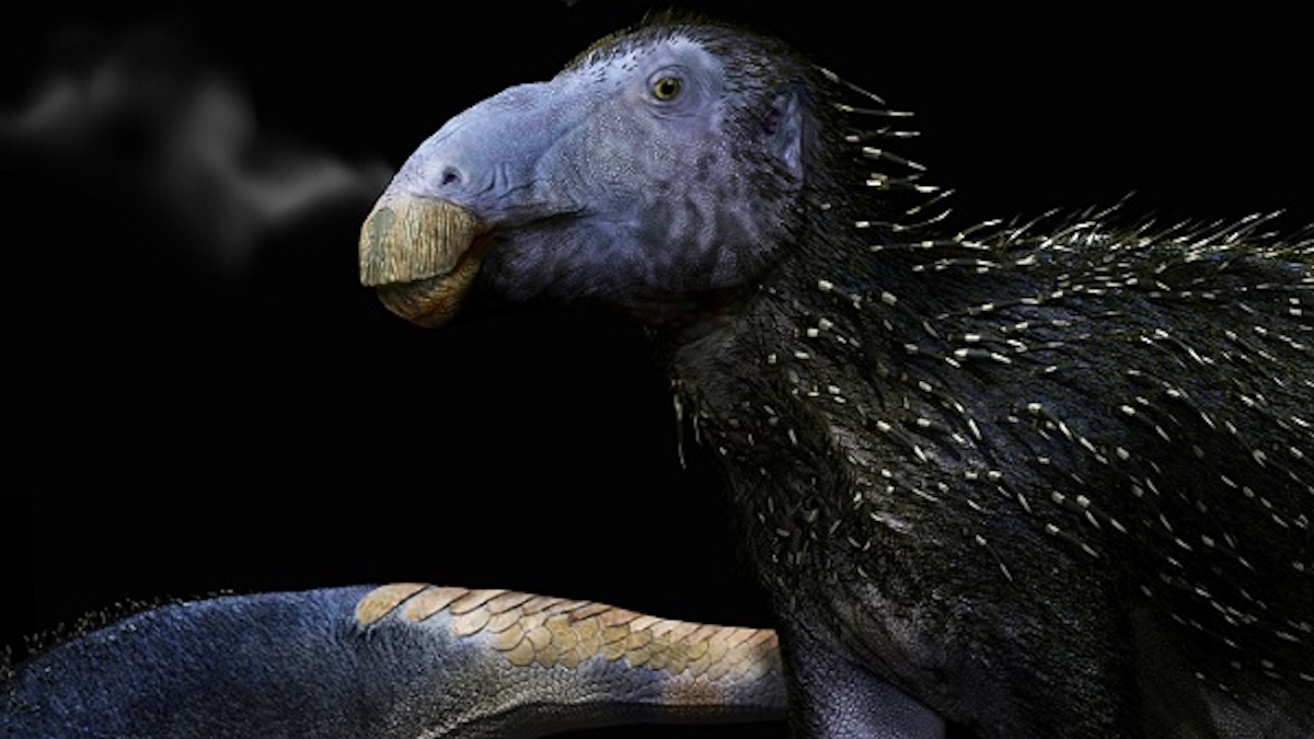 This Strange Spiky Dinosaur Had Skin Unlike Anything We’ve Ever Seen : ScienceAlert