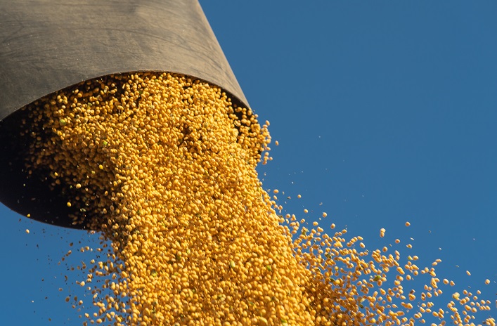 A 24% decline: What is slowing Ukraine’s grain exports down?
