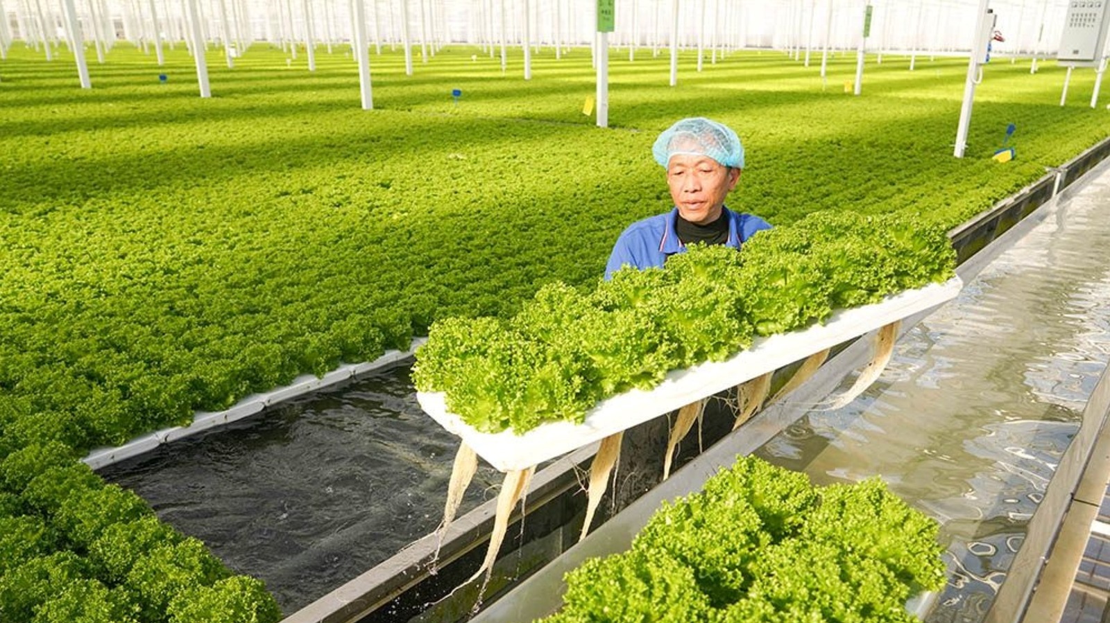 China’s Farming Robots Are A Lot More Than Just Fancy Tractors