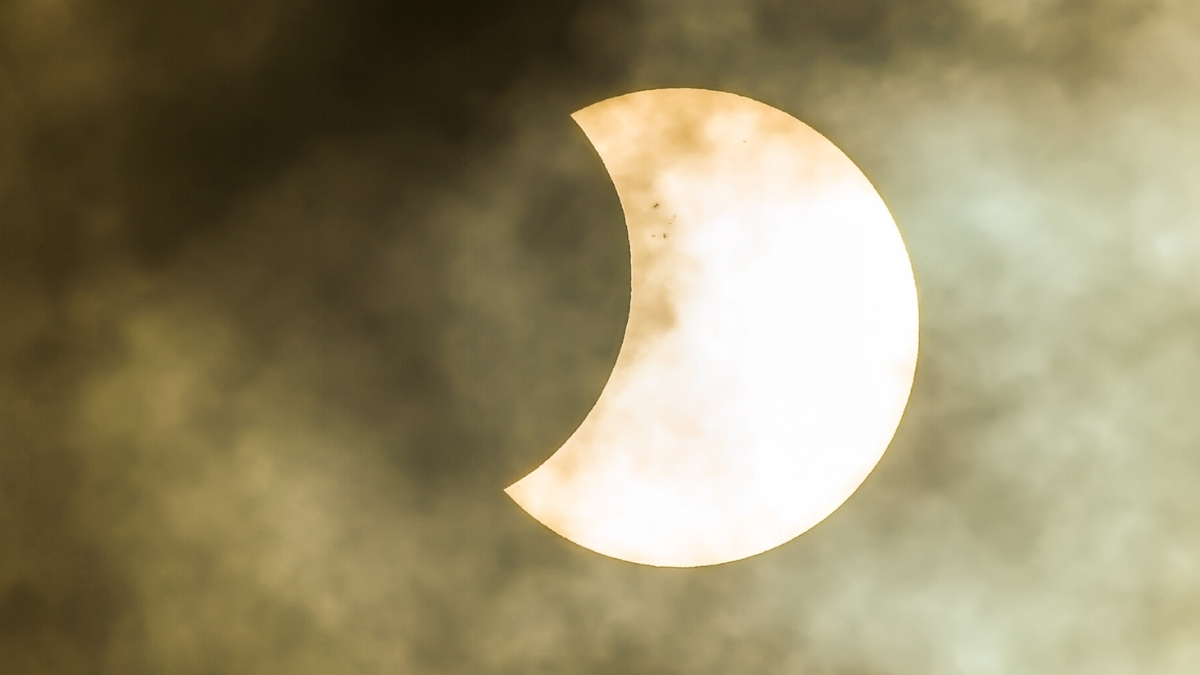 Forest’s Strange Response to an Eclipse May Have a More Mundane Explanation : ScienceAlert