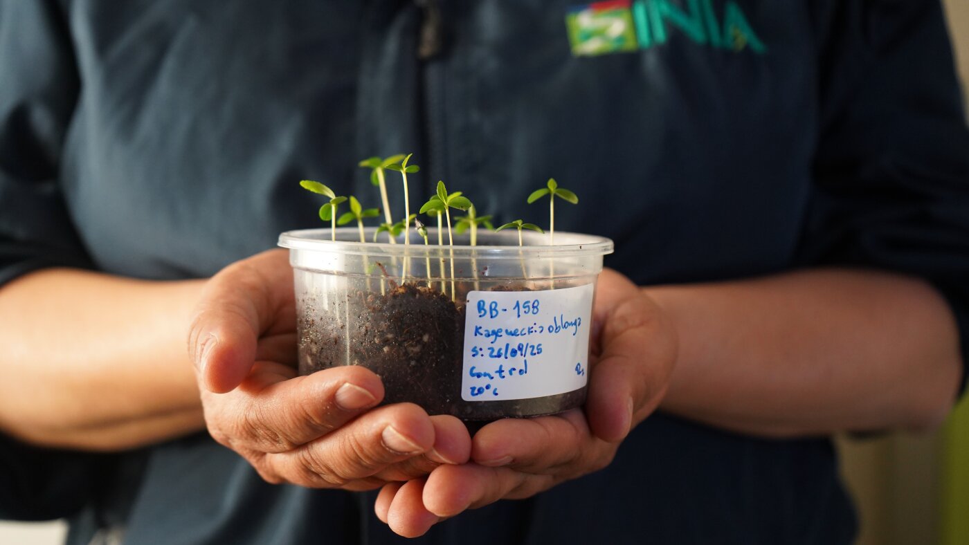 In Chile’s desert, a seed bank holds the key to the future of agriculture : NPR