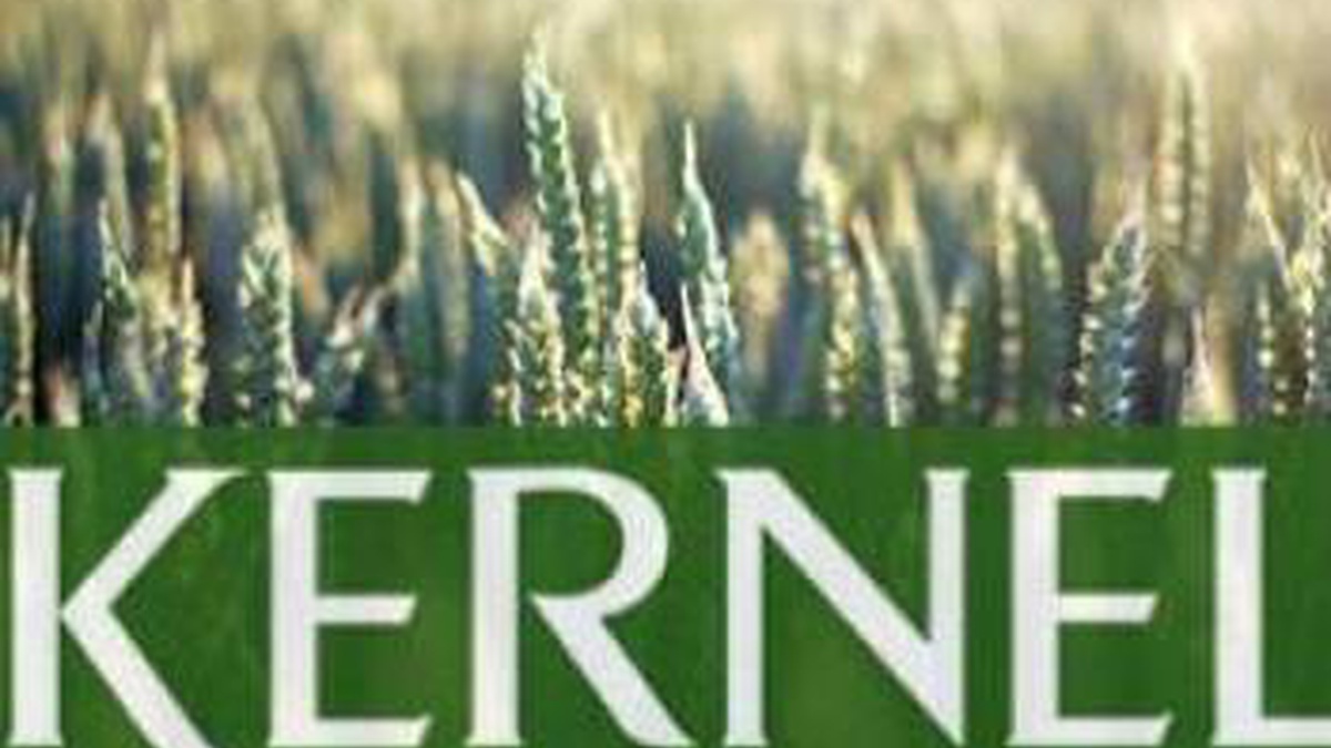 Kernel in 2025 pays UAH 5.7 bln in taxes to budget despite 33% decline in net profit