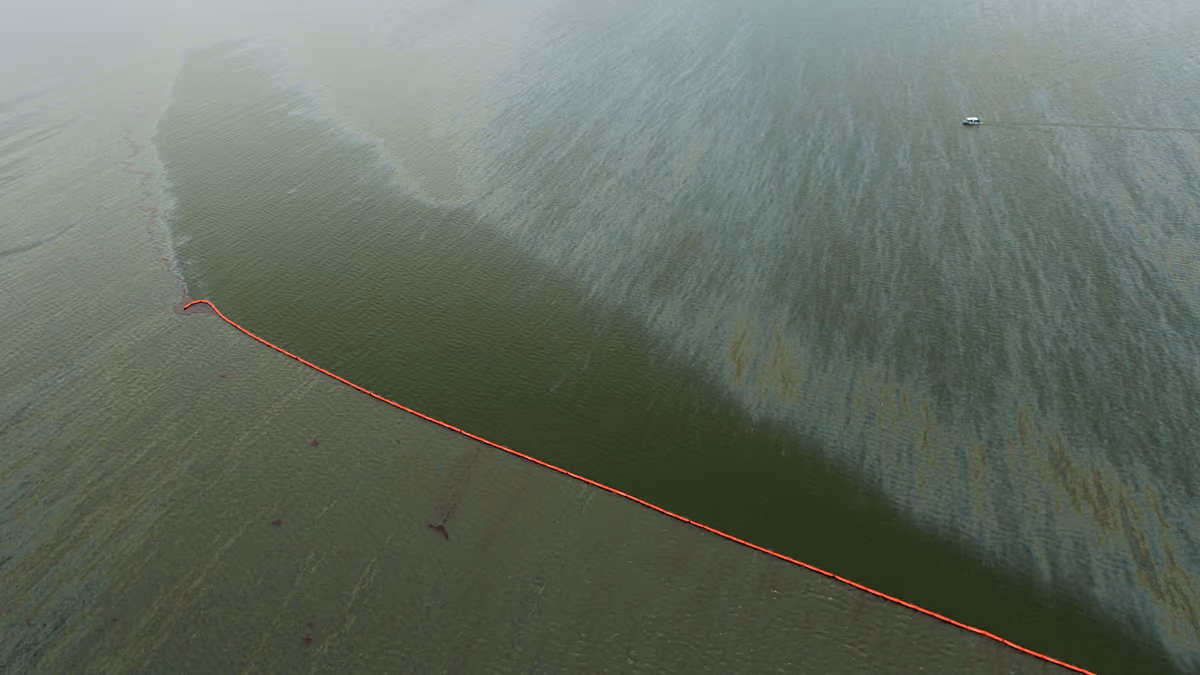 Video. Mexico races to clean crude from Veracruz coastline