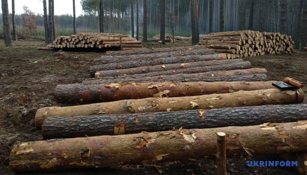 Russia’s timber harvesting volumes fell by 10% in 2025 – intelligence