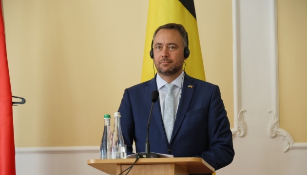 Belgian FM says normalizing relations with Russia would signal weakness