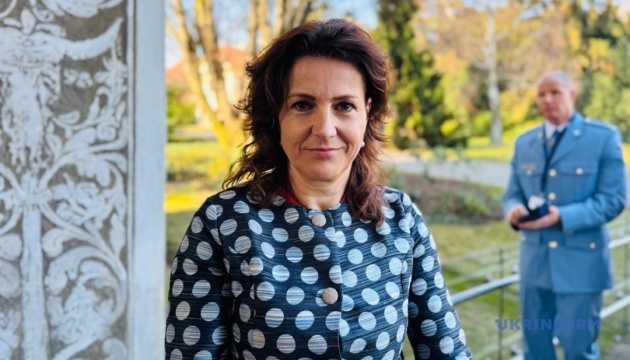 Czech arms companies interested in cooperation with Ukraine, industry representative says