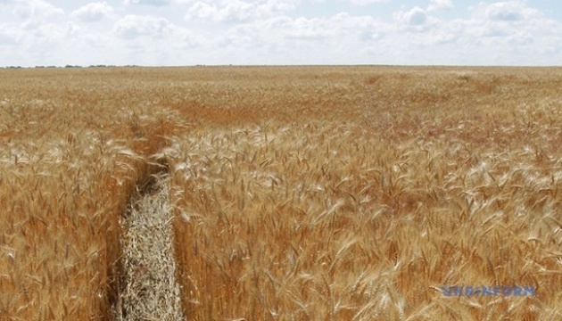 Over 356,000 hectares of agricultural land sold in Ukraine last year