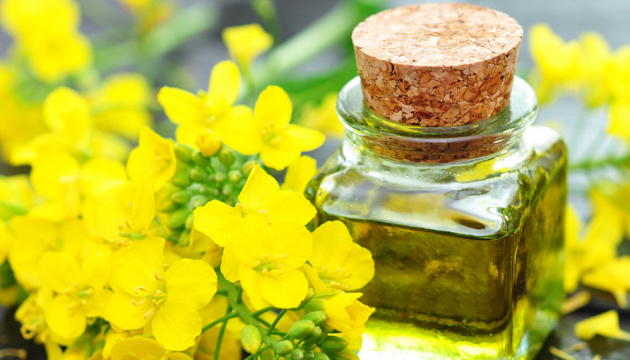 Ukraine plans to increase rapeseed oil exports