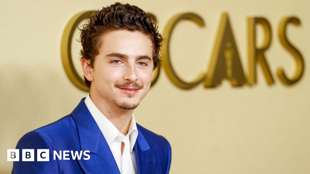 Has Hollywood golden boy Timothée Chalamet lost his shine?