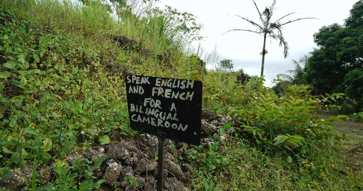 Belgium arrests 4 in Cameroon war crimes probe – POLITICO