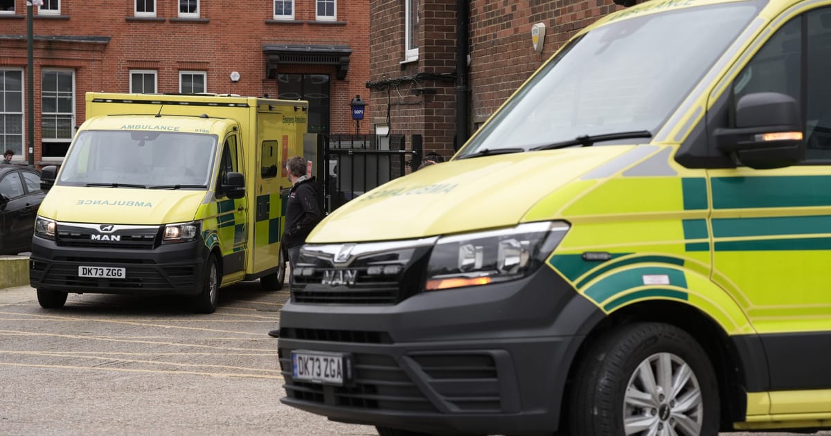 Two men arrested over London Jewish ambulance attack – POLITICO