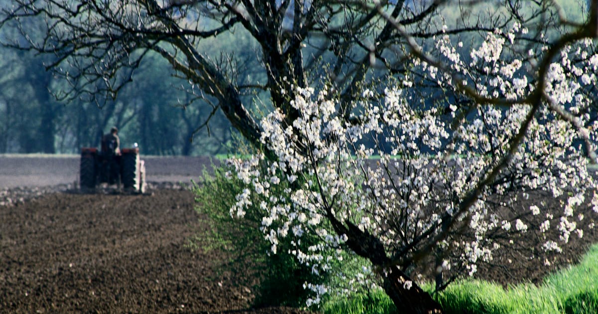 Hungary presses EU to scrap tariffs on Russian and Belarusian fertilizers – POLITICO