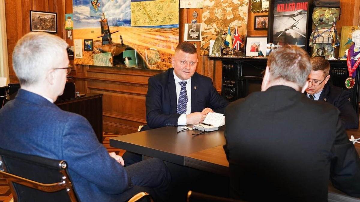 Zaluzhny, Swedish MoD National Armaments Director discuss further coordination of partners’ efforts