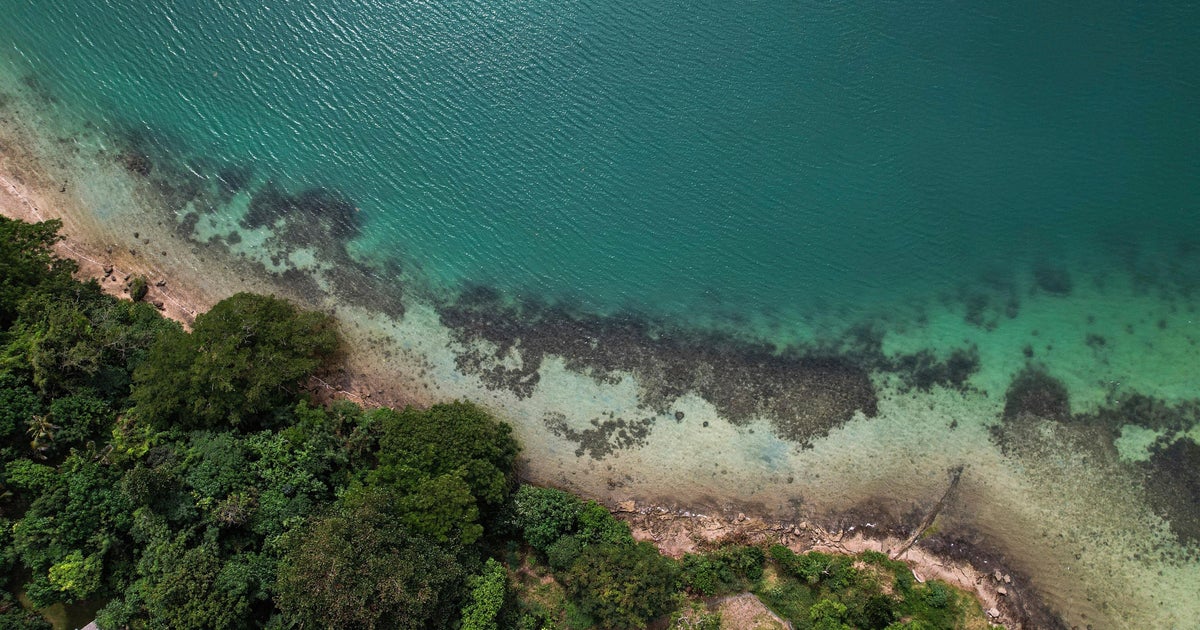 Sea levels much higher than previously thought due to “methodological blind spot,” study finds