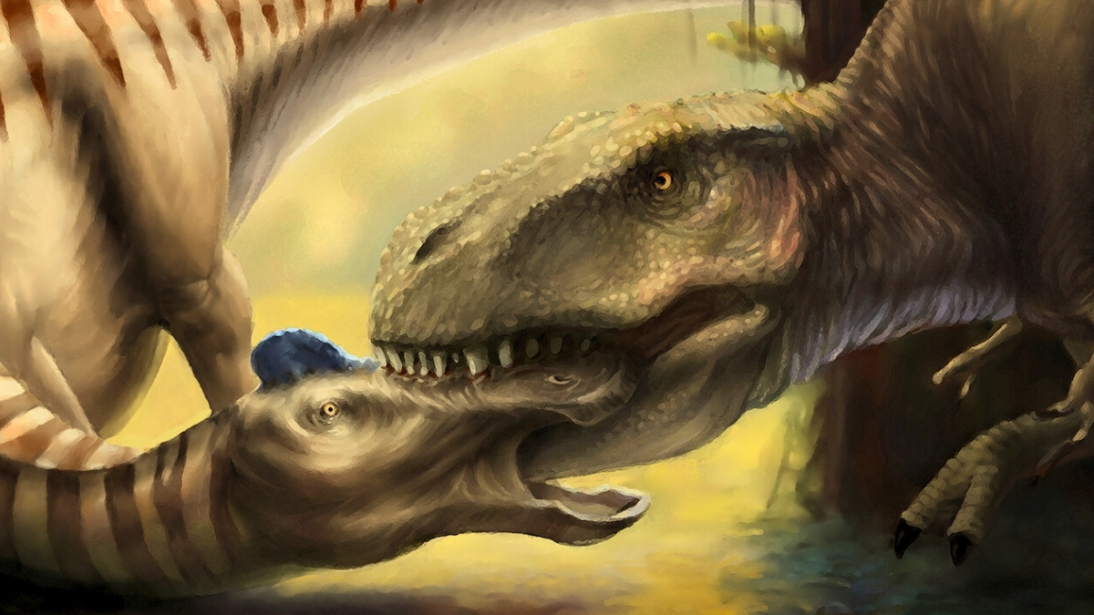 Scientists Found a T. Rex Tooth Embedded in Another Dinosaur’s Skull : ScienceAlert