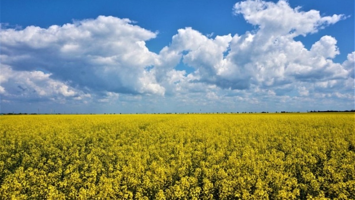 Flanders and FAO to allocate $1 mln to restore farming in Mykolaiv region